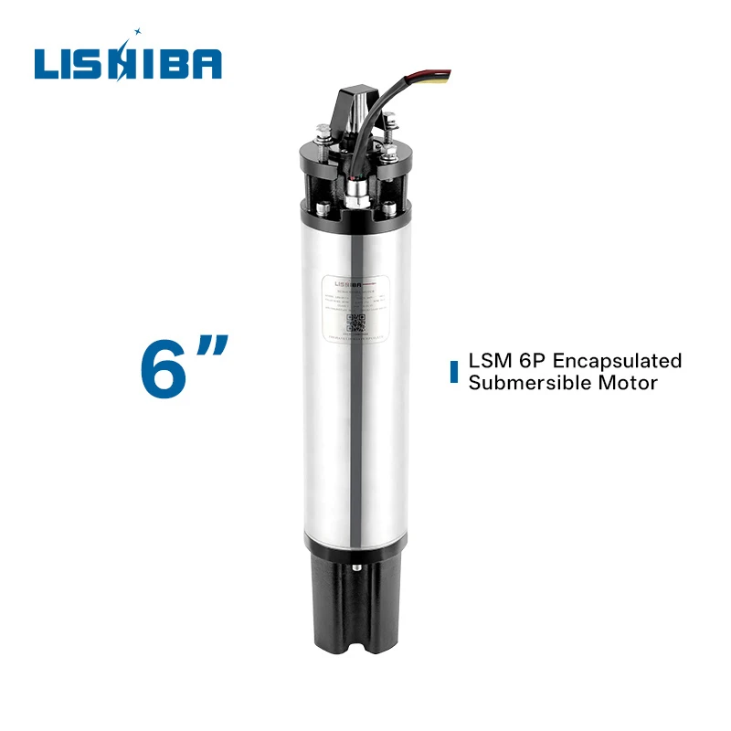 Encapsulated Electric Motors